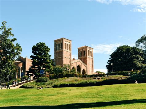 berkeley business major